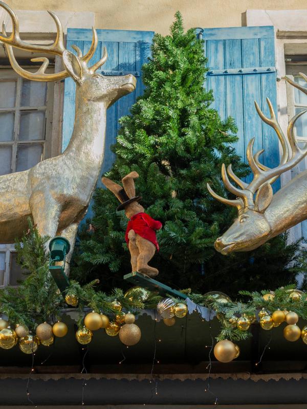 Saint-Rémy-de-Provence aux couleurs de Noël