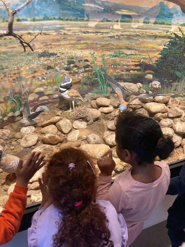 Visite guidée de l’Ecomusée de la Crau