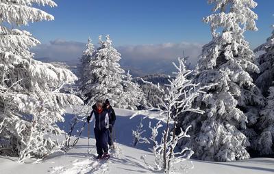 À la découverte du Tanet