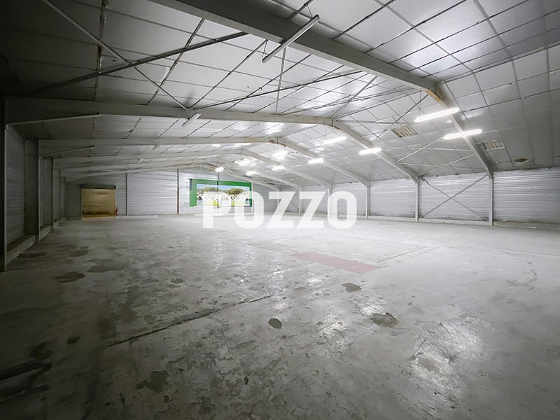 Local d'activité / Entrepôt - 1 145 m²