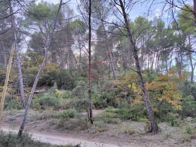 Terrain de loisirs - 4 400 m²