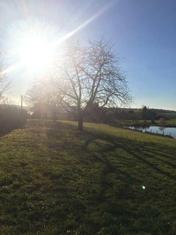 Terrain constructible - 2 737 m²