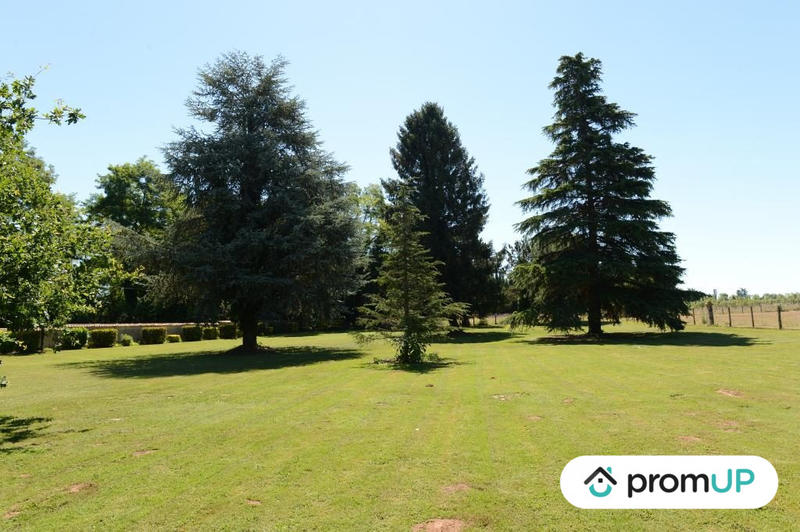 Maison - 780 m² - 18 pièces