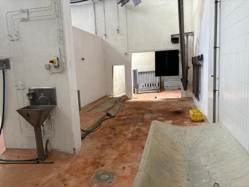 Bureau - 3 000 m² - 15 pièces