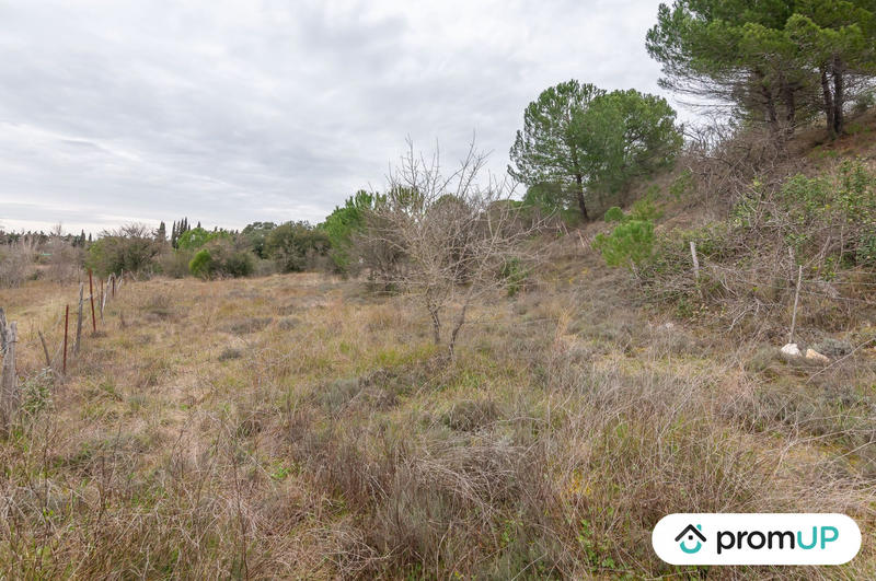 Terrain agricole - 10 601 m²