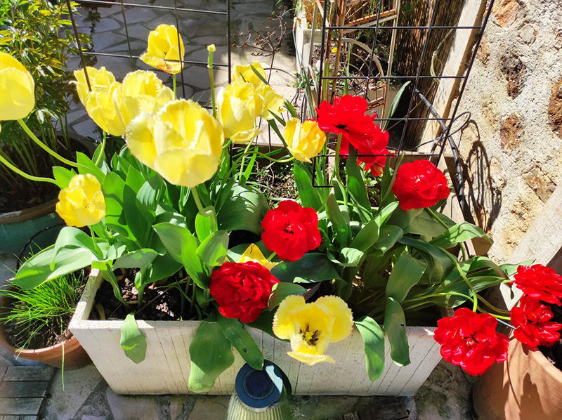 Maison - 168 m² - 7 pièces