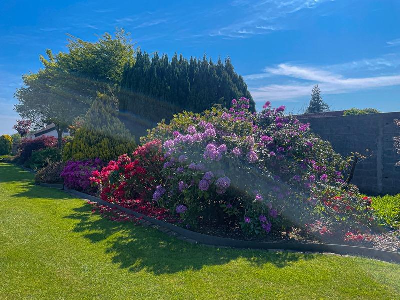 Maison en pierre - 295 m² - 8 pièces