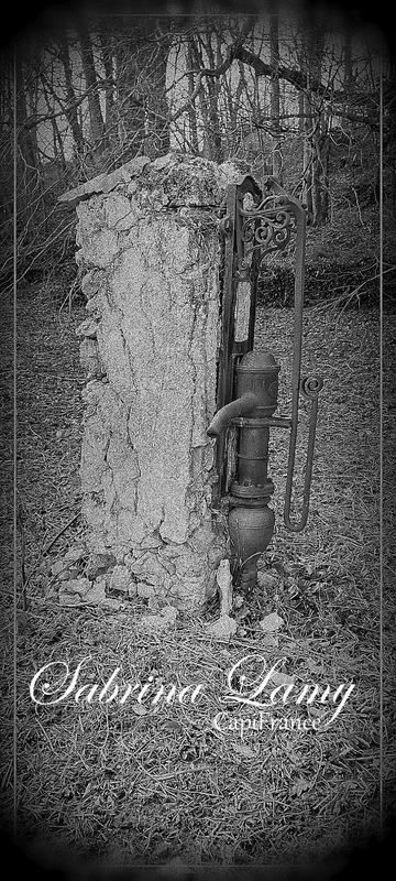 Terrain constructible - 1 676 m²