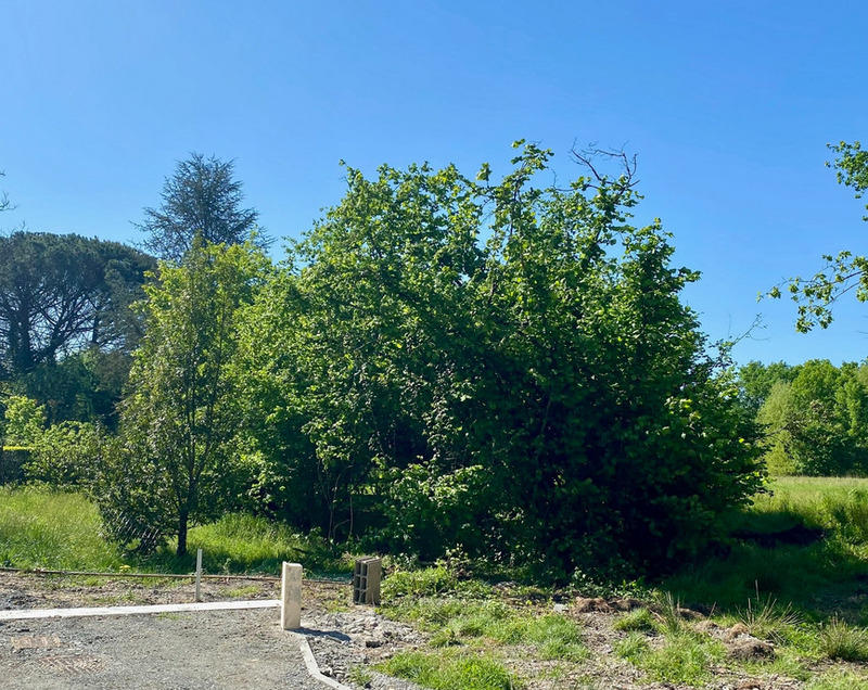 Terrain constructible - 573 m²