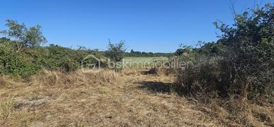Terrain agricole - 15 401 m²
