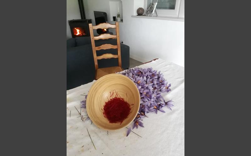 Sortie nature Cpie Pays Basque : "Une épice nommée Safran"