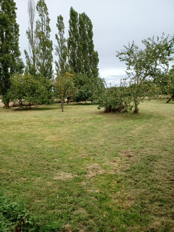 Pavillon - 107 m² - 4 pièces