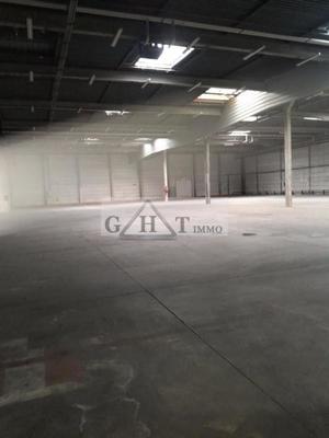 Entrepôt - 2 725 m²