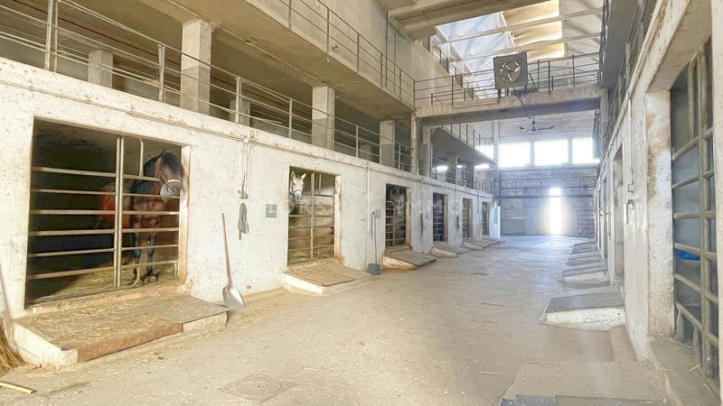 Mas - 500 m² - 10 pièces