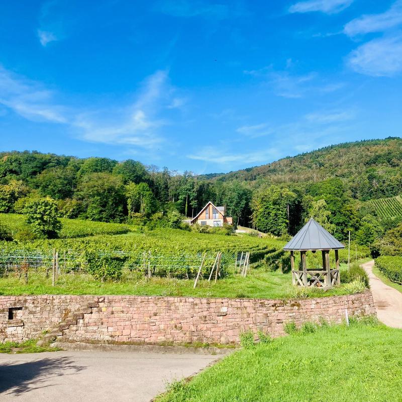 Villa - 295 m² - 15 pièces