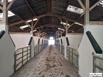 Maison - 168 m² - 5 pièces