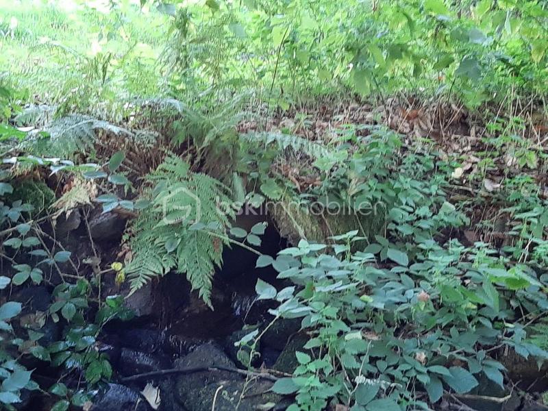 Terrain de loisirs - 9 275 m²