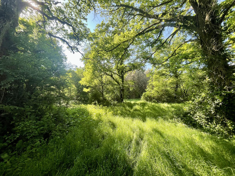 Terrain de loisirs - 44 170 m²