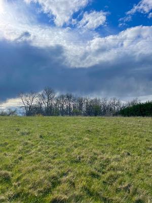 Terrain - 36 155 m²