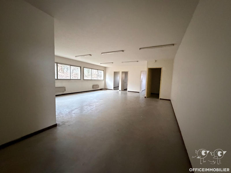Local d'activité / Entrepôt - 775 m²