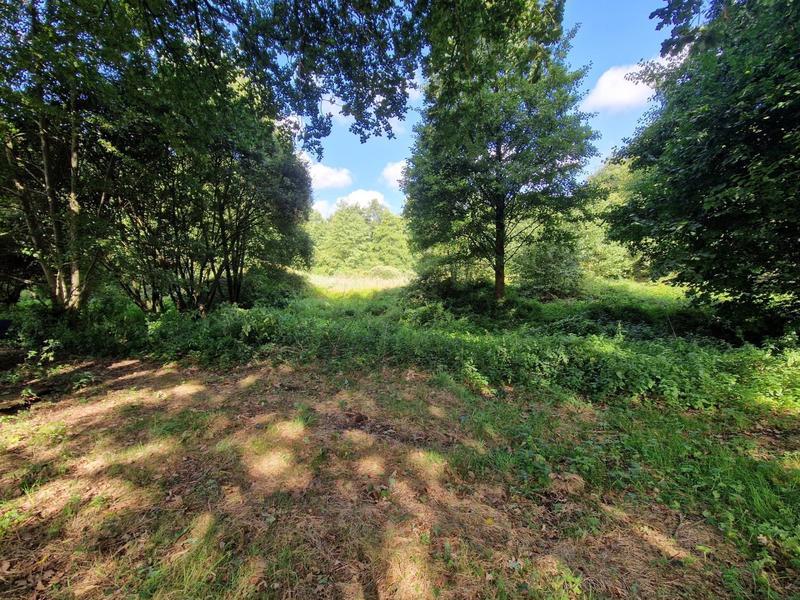 Maison - 120 m² - 3 pièces