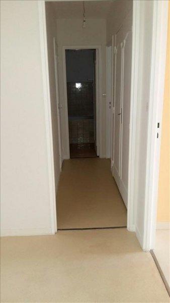 Appartement - 55 m² - 2 pièces