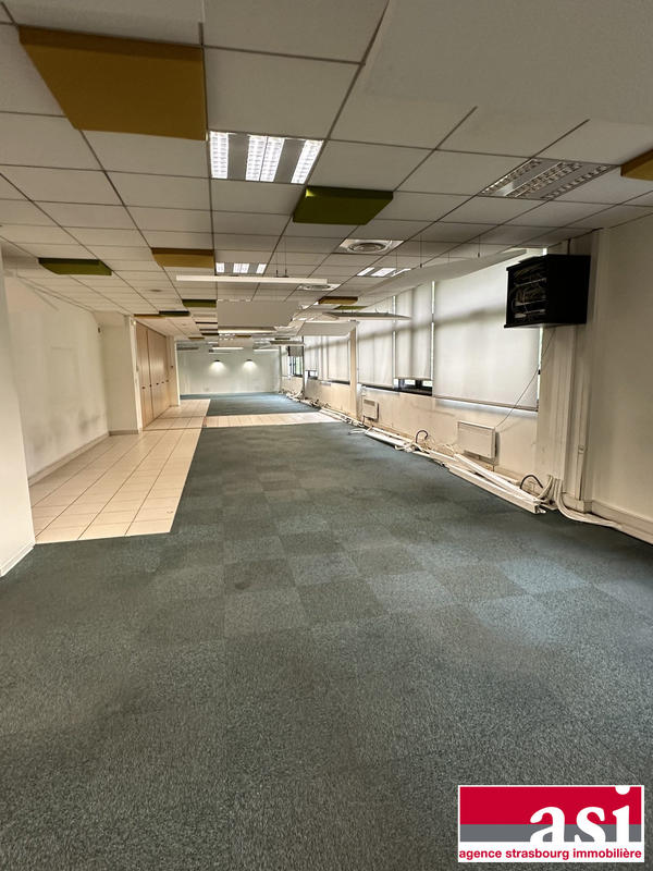 Bureau - 290 m² - 4 pièces