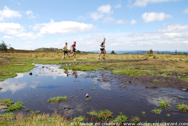 Course les Crêtes Vosgiennes