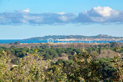 Villa - 800 m² - 11 pièces