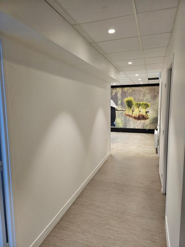 Bureau - 300 m² - 17 pièces