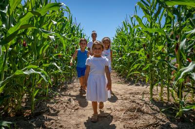 Pop Corn Labyrinthe Berck (Verton)