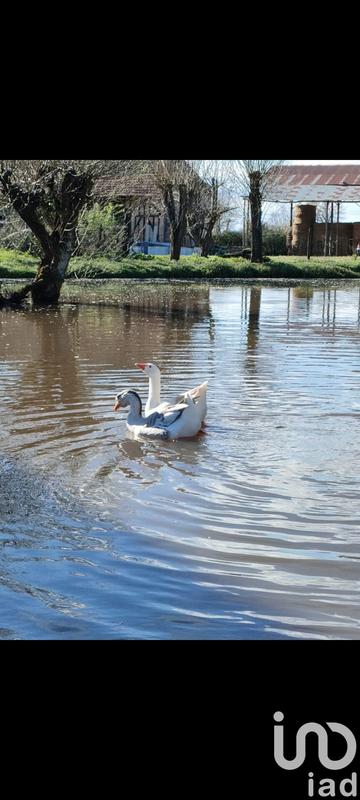 Maison - 236 m² - 5 pièces