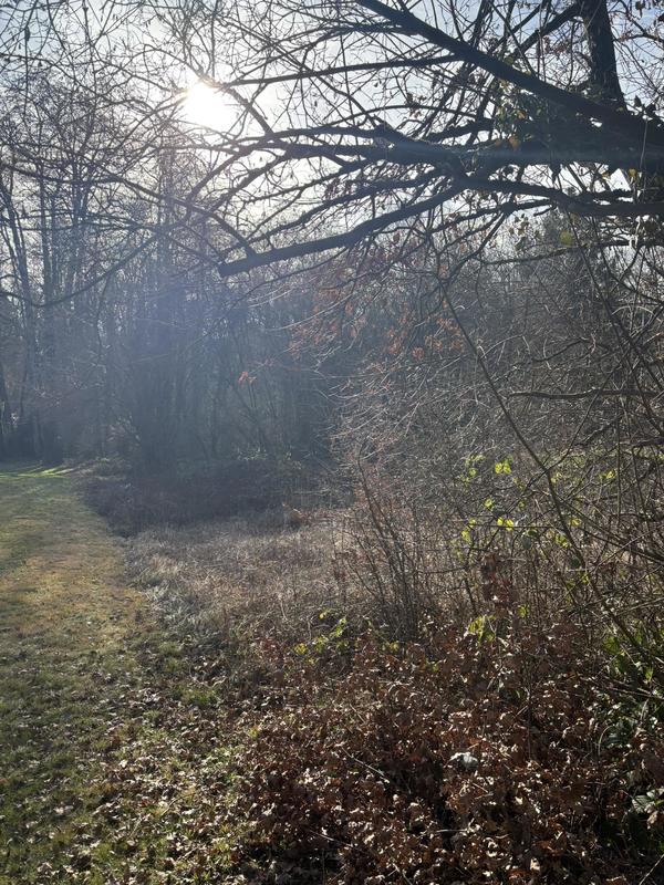 Terrain constructible - 968 m²