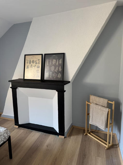 Appartement ancien - 43 m² - 1 pièce