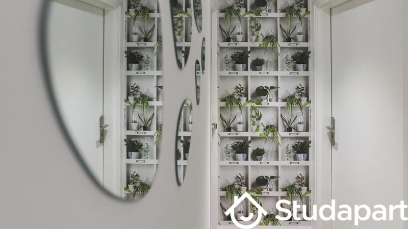 Chambre - 14 m² - 1 pièce