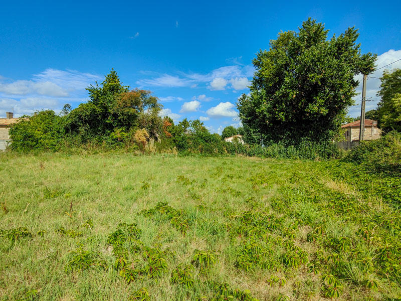 Terrain constructible - 1 435 m²