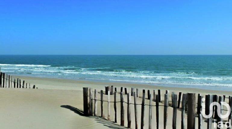 Studio - 24 m² - 1 pièce