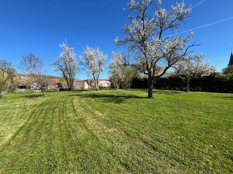 Maison - 142 m² - 5 pièces