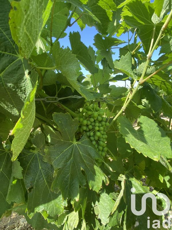 Terrain agricole - 58 175 m²