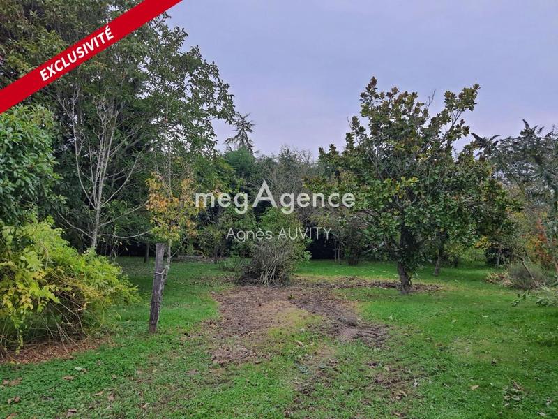 Maison de campagne - 100 m² - 4 pièces