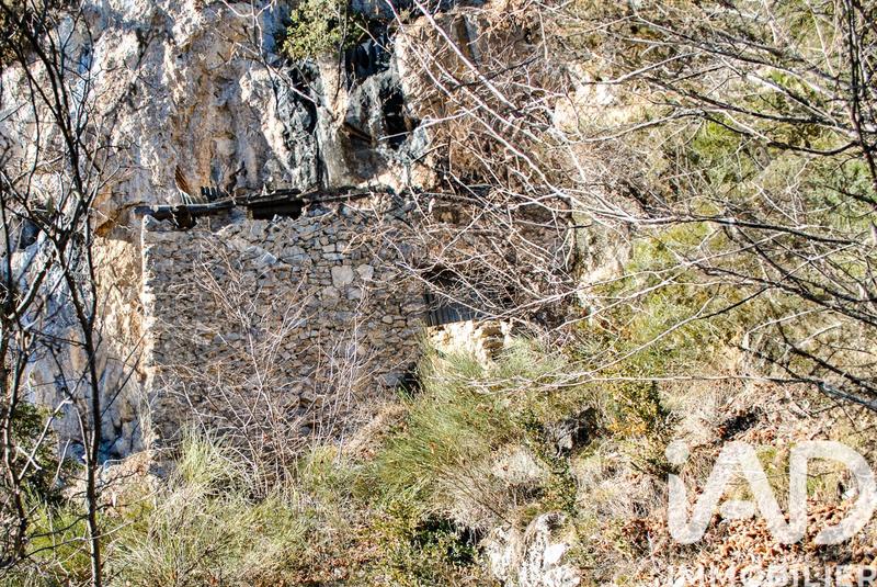 Ferme - 31 m² - 3 pièces