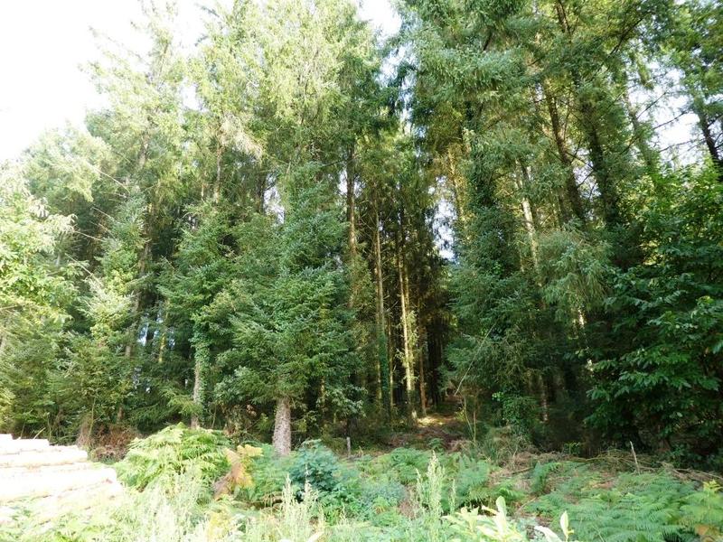 Terrain agricole - 13 280 m²