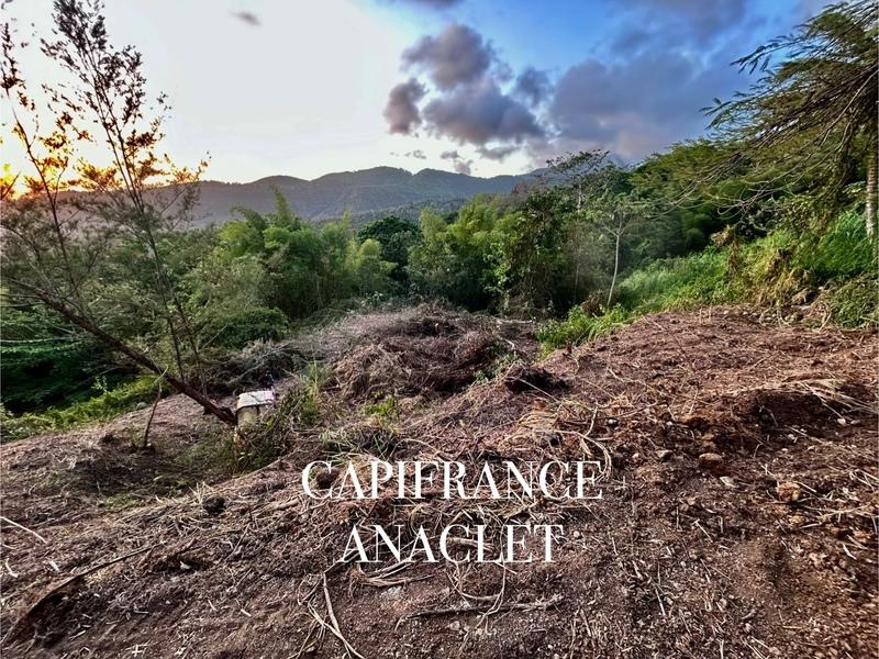 Terrain constructible - 1 689 m²