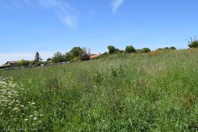 Terrain constructible - 2 782 m²