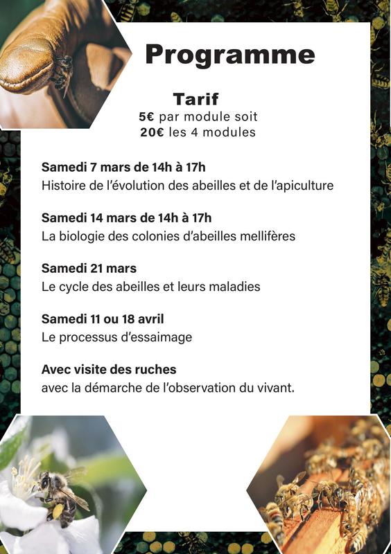 Stage en apiculture à Coulon