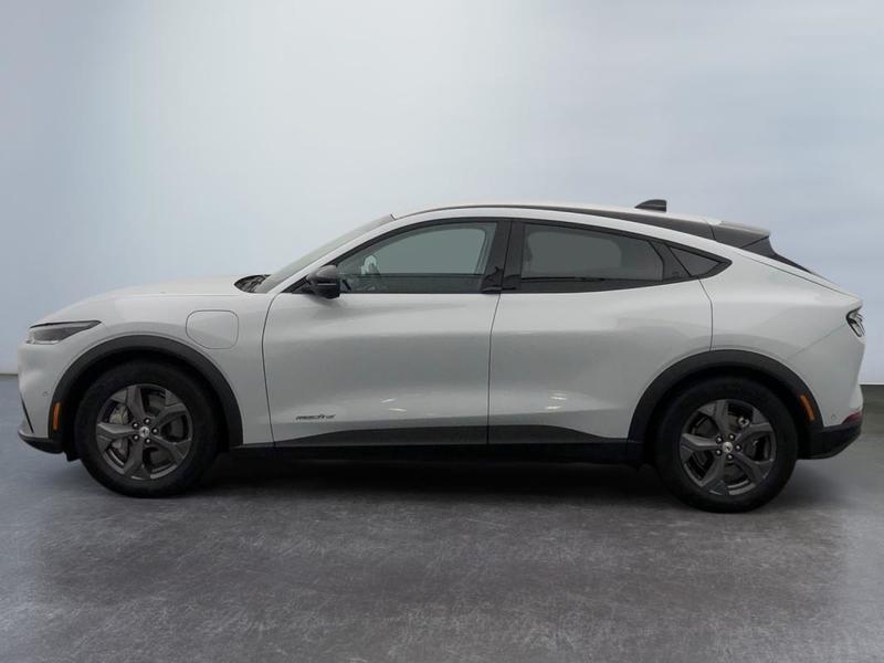 Ford Mustang Mach-E Standard Range 76 kWh 269 ch