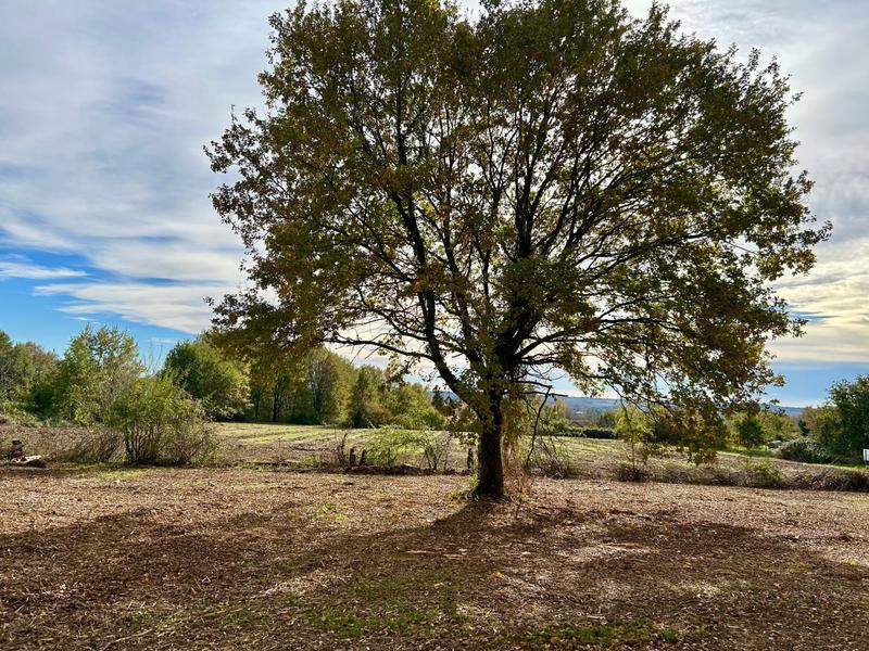 Maison traditionnelle - 110 m² - 5 pièces