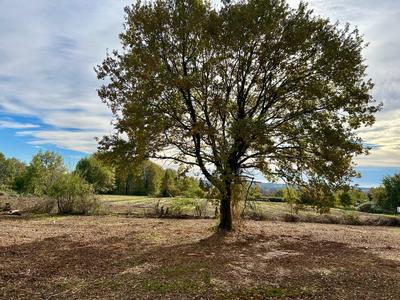 Maison traditionnelle - 110 m² - 5 pièces