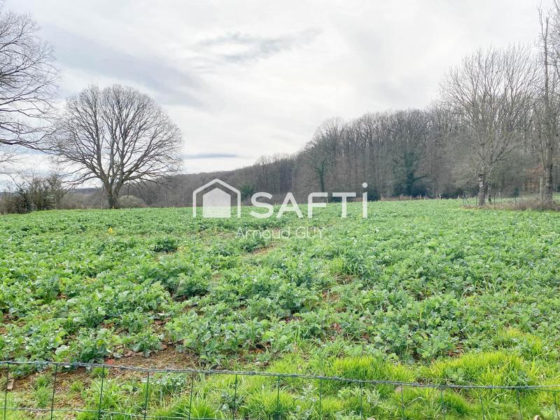 Maison - 50 m² - 2 pièces