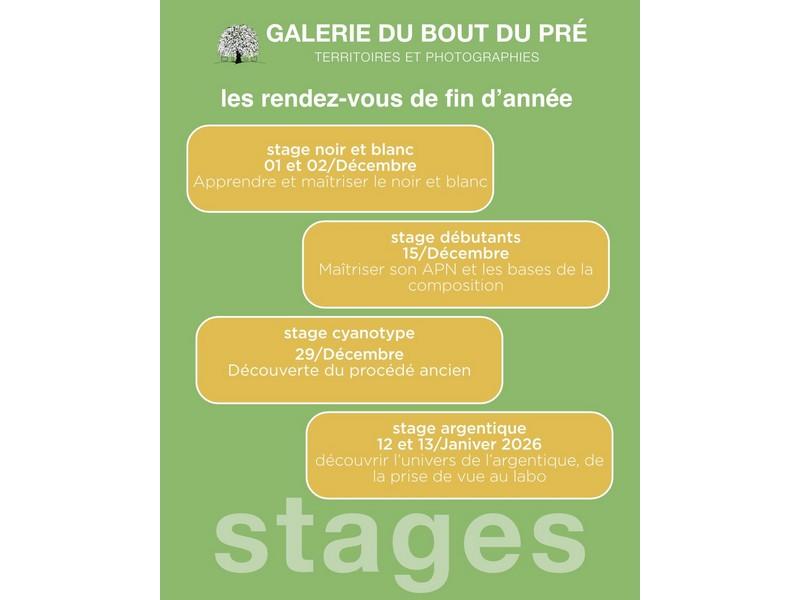 Les rendez-vous de fin d'année à la Galerie du bout du Pré